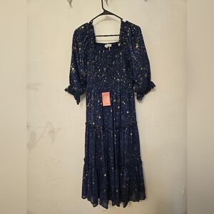 Ivy City Co Starry Nights Dress